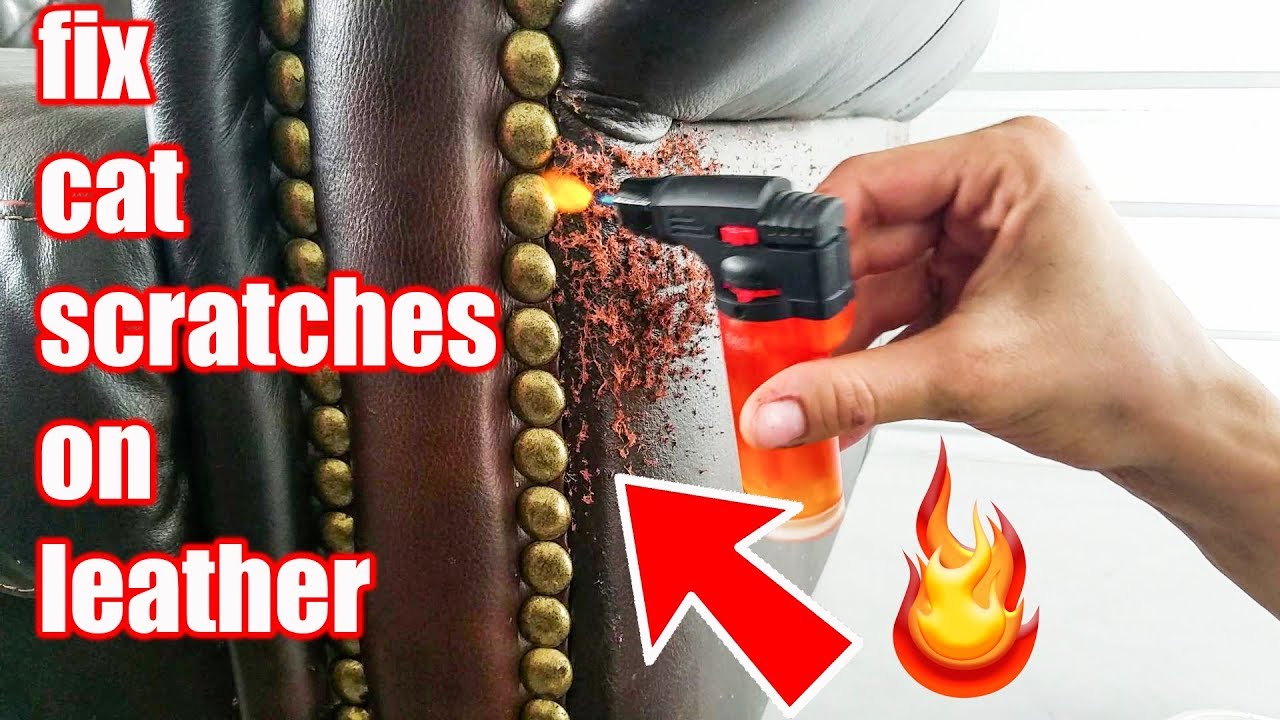 Cat Scratches On Leather Repair You, How To Repair Cat Scratches On Leather