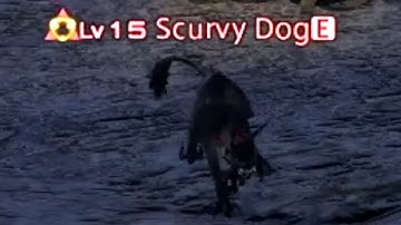 My First Dungeon In Final Fantasy XIV