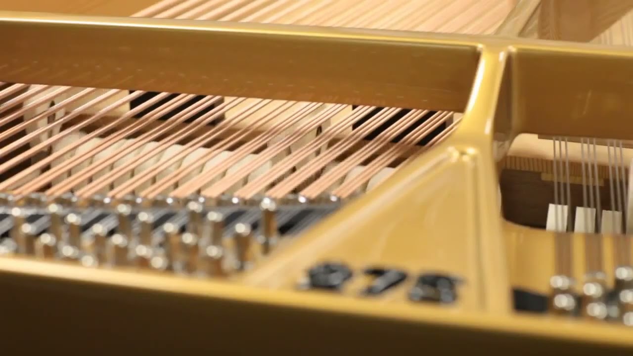 Ravenscroft Piano's Action Conditioning