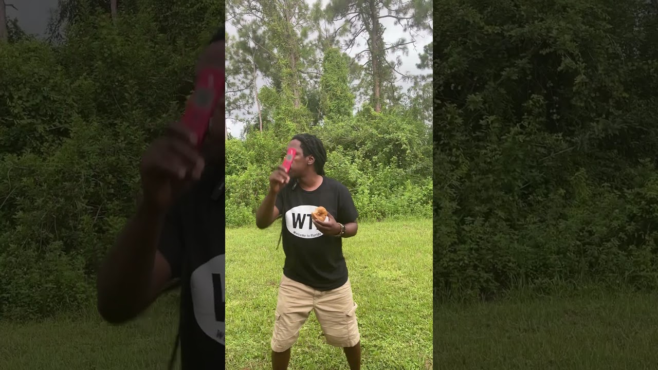 Только во Флориде… дикие обезьяны во Флориде 