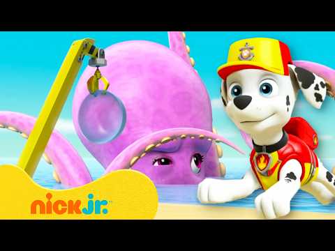 Paw Patrol | ¡Momentos de rescate sin parar con el PAW Patroller! | 90 minutos | Nick Jr. en Español
