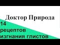 Народные средства против глистов. Более 14-ти рецептов.