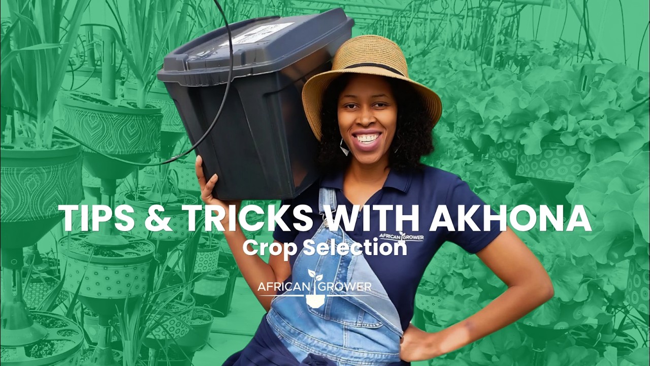 3 Must know factors for choosing the perfect crops | Tips & Tricks ...