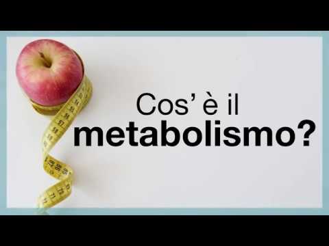 Video: Differenza Tra Metabolismo E Digestione