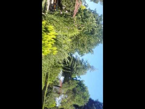 اذان العصر فوق الجبل منظر روعه وجو اروع سكاريا تركيا