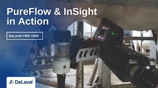 PureFlow and InSight in action on DeLaval VMS V300