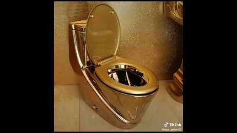 А какой ты унитаз?