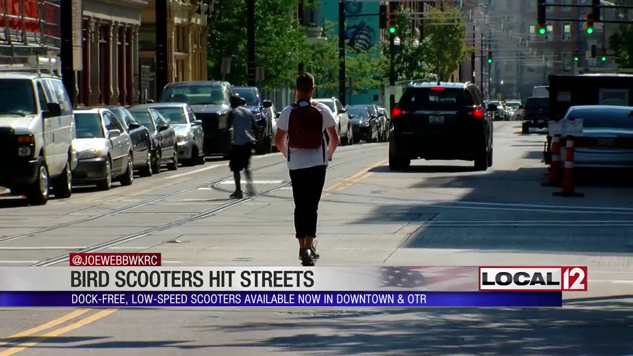What's a BIRD Scooter? Infamous electric ride-sharing company comes to Cincinnati