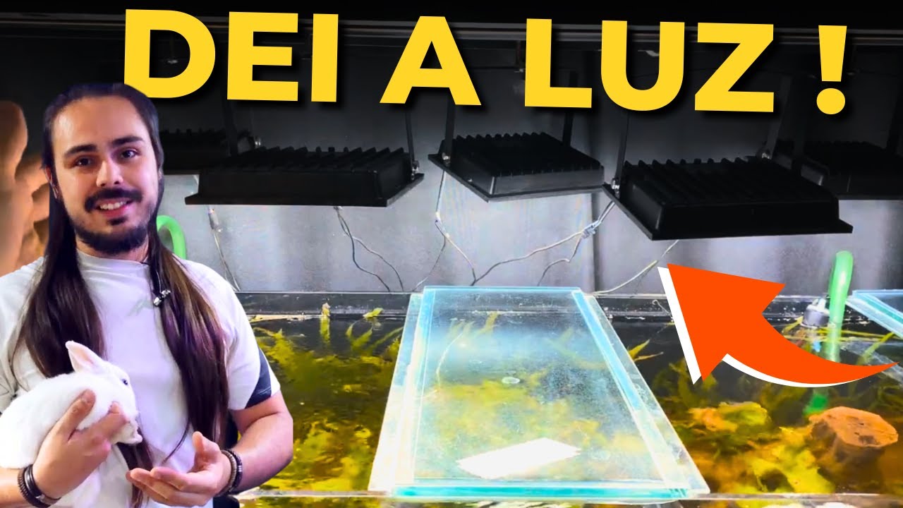 🔴20 PEIXES QUE VIVEM COM COBRINHA KUHLI, Mr. Betta