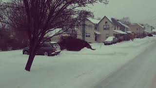 Kennett Square Snow Day !!!             January 26, 2026  