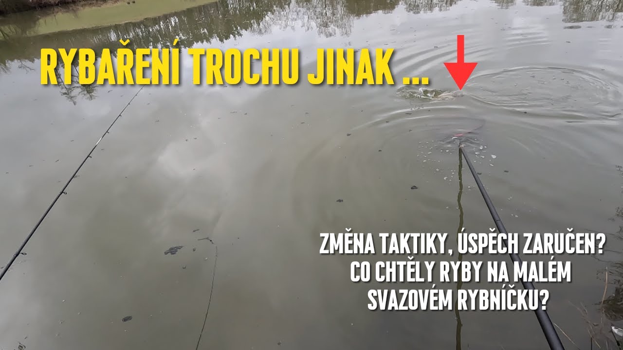 Změna taktiky úspěch zajištěn? Method feeder na malém svazovém rybníku!