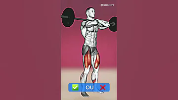 Um Dos Melhores Exercícios Para Seu Treino De Perna Agachamento Musculação Fitness Treino Gym 