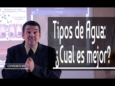 Vídeo: Tipos De Agua: 9 Fuentes Y Marcas Diferentes, Más Beneficios Y Riesgos