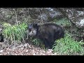 平成最後の狩猟生活(その76)