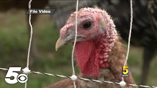 Bird flu confirmed at a poultry farm in Madison County