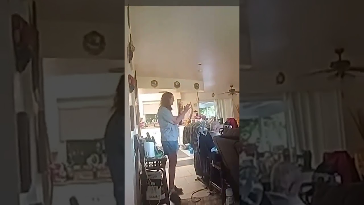 Cops Chase Wild Boar 