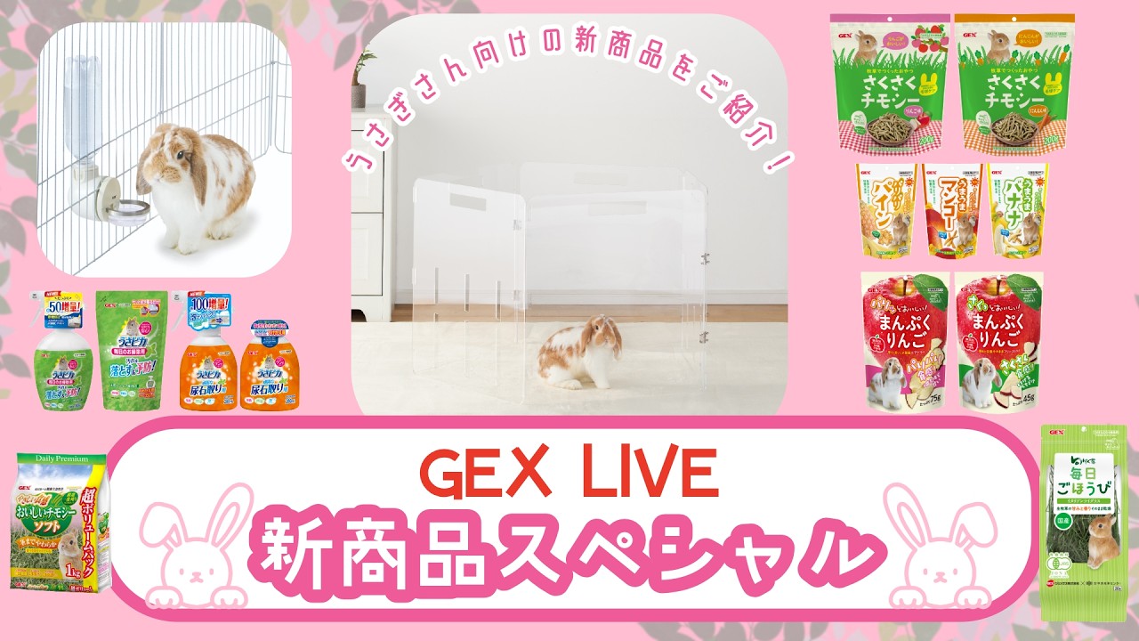 【🐰GEX LIVEライブ新商品スペシャル！】うさぎ向けの新商品が盛りだくさん！かわいいもおいしいも全部ご紹介！