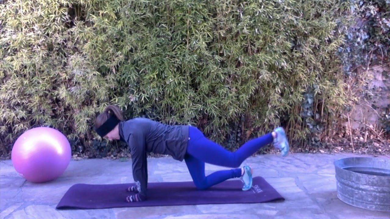 Bird Dog Hip Extension YouTube