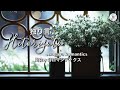 【VIETSUB/ENGSUB/歌詞】Hitorigoto 独り言・Asagaya Romantics 阿佐ヶ谷ロマンティクス|Lyrics Video|歌詞動画|Braid Girl's World