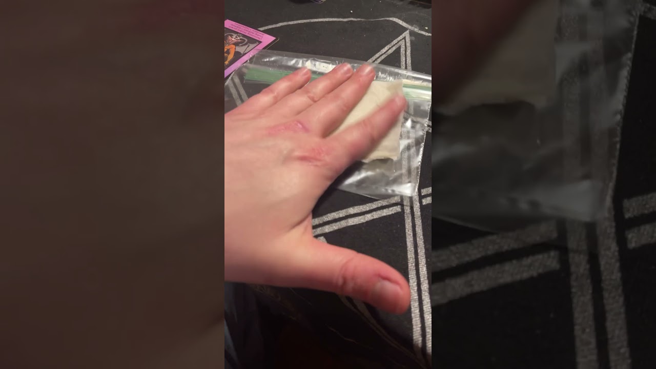 Blueberry cannabis seed germination method with damp paper towel and plastic sandwich bag