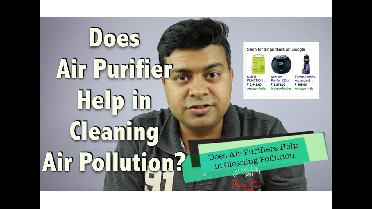 Eliminating Pet Hair Effectively - 5 Reasons An Air Purifier Is The