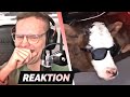 TRY NOT TO LAUGH 34.0 😎😂 | Reaktion
