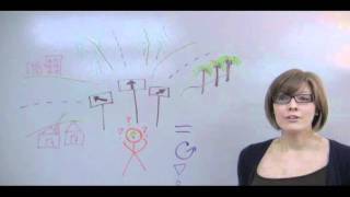 Introducing The People Team