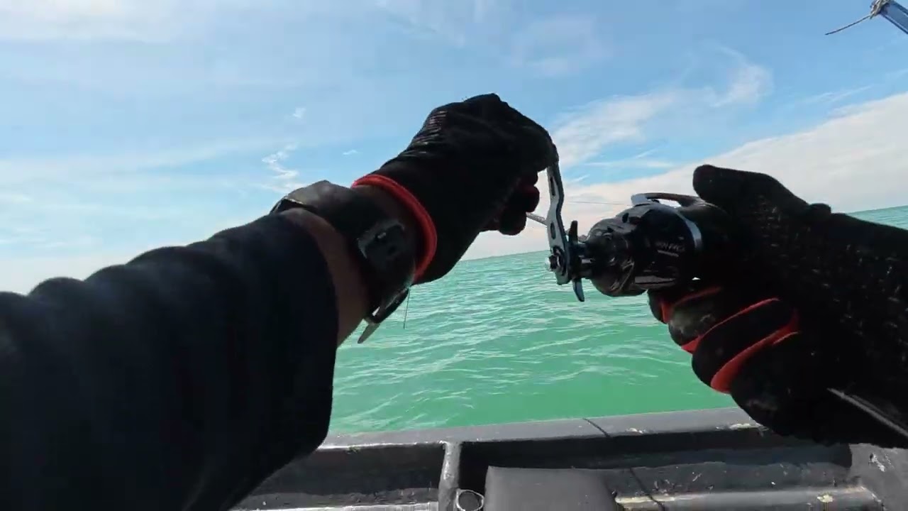 Bot Kecil Diserang Mayong!!! Memang gasak !!!!