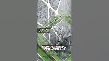 Hearthscraper | Design Expert INT