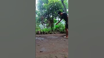 Water Splash Effect 🤟🇵🇭 #viralvideo #highlights #edit #trending