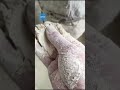 Wood Powder Making Machine with Rice Husk