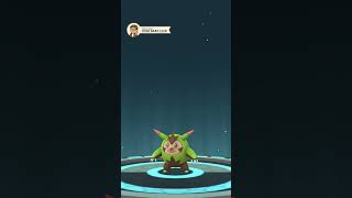 Chespin evolved to Quilladin #pokemon #pokemongo #pokemoncommunity