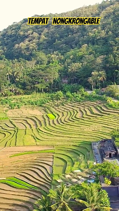 TEMPAT NGOPI TERBAIK    #fypシ #wisatajogja #kulonprogo #kopiampirono