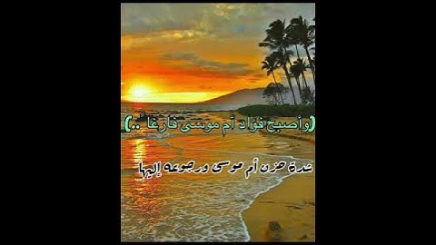 ( وأصبح فؤاد أم موسى فارغا..) تلاوة أيوبية تبكي القلب.