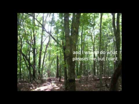 Oats We Sow by Gregory and the Hawk (Lyrics on scr...