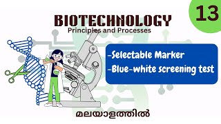 Selectable Marker Blue White Screening Test Part 13 Biotechnology Malayalathil Ncert Class 12
