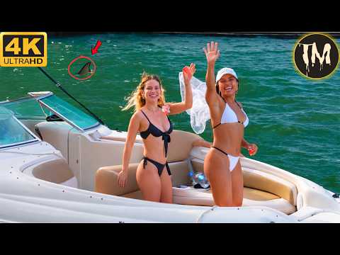 Moments Of Instant Karma Caught On Camera | Best Of The Week #446