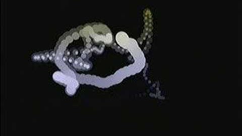 random walk in processing