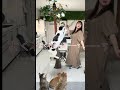 猫じゃらしのプロ。私は母