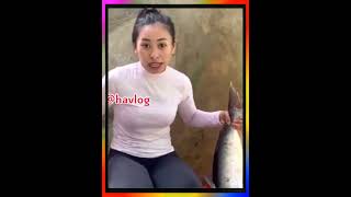 Trả Lời Cá Gì Đây Cả Nhà? シ