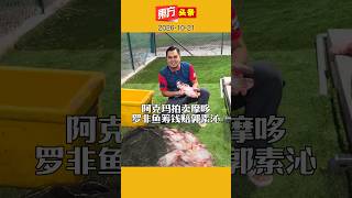 Akmal Auctions Motorcycle and Tilapia to Pay Teresa Kok [Oriental Daily News Headlines] 10/21/2026