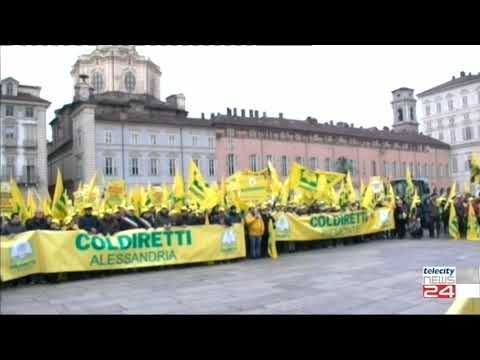 12/12/19 - Coldiretti in piazza per difendere le esigenze dell'agricoltura