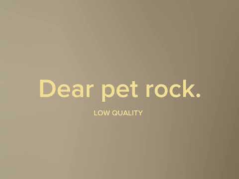 Dear pet rock (low quality version, famous part.)