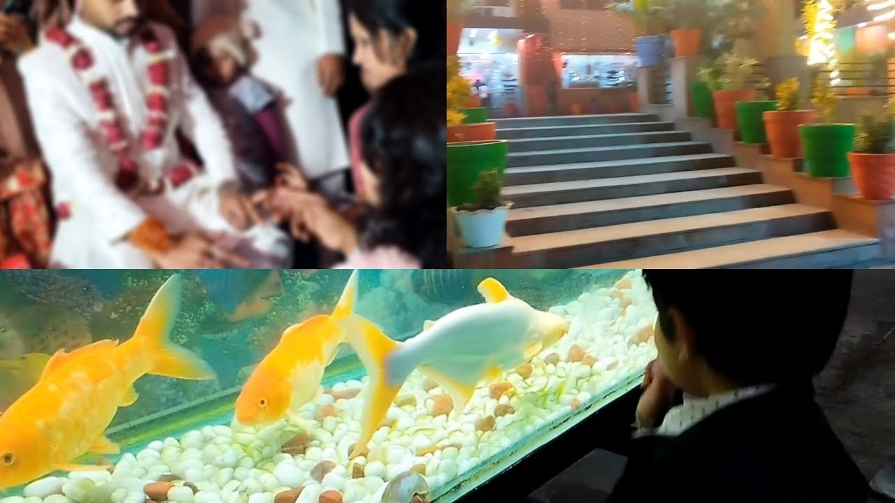 Salam Karae! Hum Sab Nikle Ghar Ke Liye Created_aisha Vlog