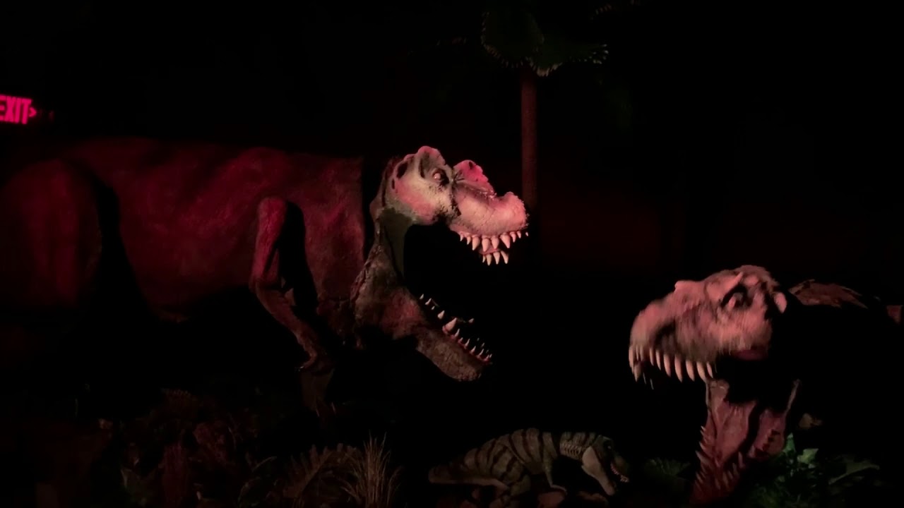 Welcome to the Jungle