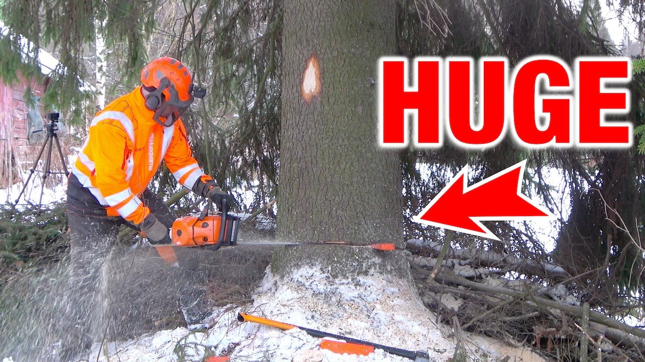 Идеальный спуск №5 — Падение с гигантского дерева рядом со складом
