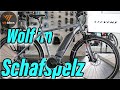 Wolf im Schafspelz - Stevens E-6X Tour bzw. E-8X Tour - vit:bikesTV