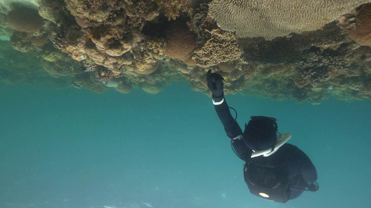 SubCruiser DPV Seascooter  [Unedited Testing Footage] 