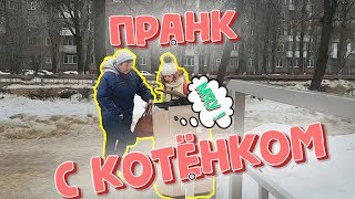 ПРАНК КОТЁНОК в коробке / РЕАКЦИЯ ЛЮДЕЙ / DEADPOOL SPIDER-MAN BLACK PANTHER / marvel в России пранки ПРАНК КОТЁНОК в коробке / РЕАКЦИЯ ЛЮДЕЙ / DEADPOOL SPIDER-MAN BLACK PANTHER / marvel в России пранки