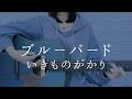 ブルーバード/いきものがかり【弾き語りカバー】